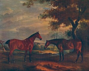 Yorkshire Hunters at Grass, 1840, 1922