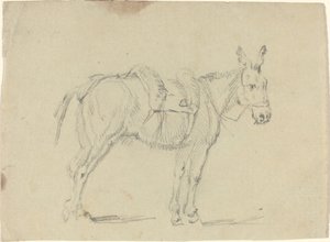 Szamár egy hátsó lábát nyújtja alkotó: John Flaxman