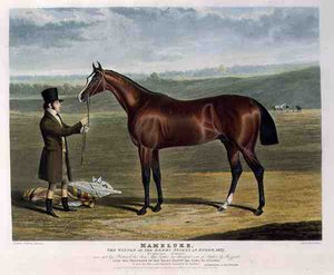 „Mameluke”, a Derby Stakes győztese Epsomban
