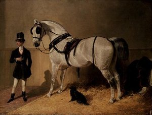 Egy Szent Jakab kocsis ló alkotó: John Frederick Herring Senior