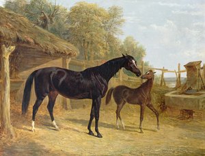 Levity, J.C.Cockerill Esq. tulajdona, csikójával Queen Elizabeth, Lord Dorchester tulajdona, 1843.
