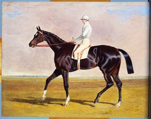 Lucetta" J. Robinson Up közreműködésével, 1834 alkotó: John Frederick Herring Senior