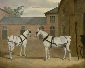 Mr. Sowerby szürke kocsilovai a Putteridge Bury-i kocsiszínben, Hertfordshire, 1836