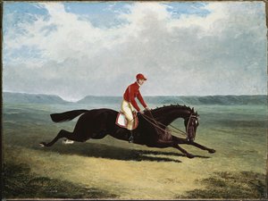 A báró Bumpy Up-al, a Newmarketben alkotó: John Frederick Herring Senior
