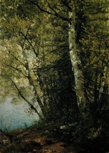 Tanulmány a bükkösökről, 1872. alkotó: John Frederick Kensett