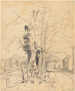  alkotó: John Frederick Kensett