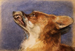 Egy róka feje alkotó: John Frederick Lewis