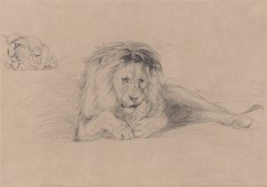 Tanulmány egy oroszlánról és tanulmány egy oroszlány fejéről alkotó: John Frederick Lewis