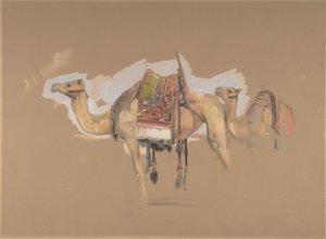Két teve, kb. 1843. alkotó: John Frederick Lewis