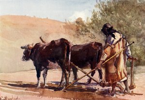 Szántás az Olajfák hegyén, 1902. alkotó: John Fulleylove