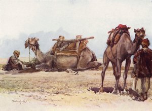 A tevék és a kísérők tanulmányozása alkotó: John Fulleylove