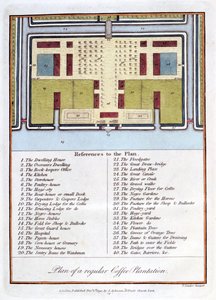 Rendszeres kávéültetvény terve, 1813