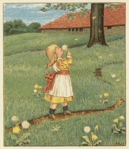 Gyermekláncfű mag (színes litho)