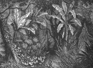 A bokorban, 1880