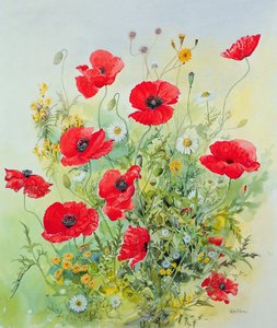 Pipacs és Mayweed alkotó: John Gubbins