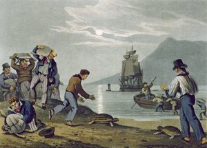 Teknősfogás a szárazföldön, metszett Matthew Dubourg (fl.1785-1820), kiadó: Edward Orme, 1813