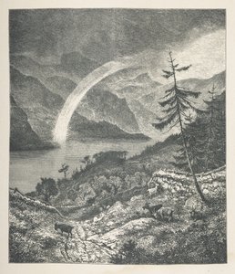 18. tábla. Rainbow, a „Nature Pictures”-től, harminc eredeti illusztrációból álló sorozat, J. H. Dell fára rajzolta, és R. Paterson metszet.John Henry Dell
