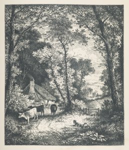 21. tábla. Szarvasmarha, a „Nature Pictures”-től, harminc eredeti illusztrációból álló sorozat, J. H. Dell fára rajzolta, és R. Paterson metszet. John Henry Dell