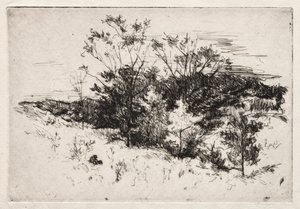 Őszi táj, 1879-80. alkotó: John Henry Twachtman