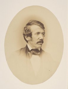 Dr. Livingstone alkotó: John Jabez Edwin Mayall