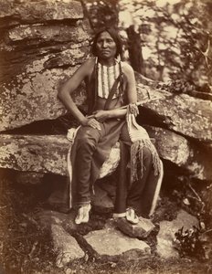 [Kis Medve, Cheyenne]