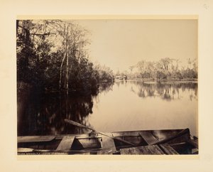 Silver Springs, Florida, kilátás folyásiránnyal szemben alkotó: John K. Hillers