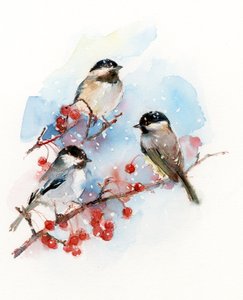 Chickadees bogyókkal, 2017, (akvarell)
