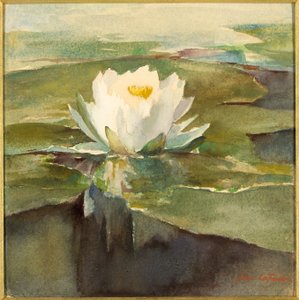 Vízililiom napfényben alkotó: John La Farge