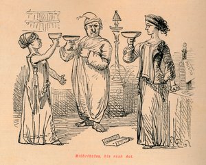 Mithridates, kiütéses törvénye, 1852 alkotó: John Leech