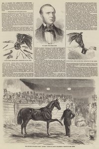 J S Rarey úr, az amerikai lószelídítő alkotó: John Leech