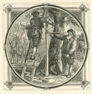 Az ágak edzettek, de a törzs nem (metszet) alkotó: John Leighton