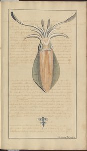 Lindsay Drawings Vol. VII, 29 alkotó: John Lindsay