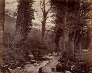 Cím nélkül, c. 1859. alkotó: John Lloyd