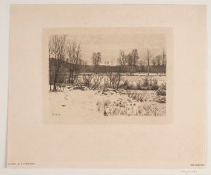 Bully bog