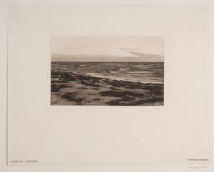 Tisvilde strand