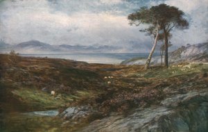 Heather: Skót Felföld, c1910, c1930.