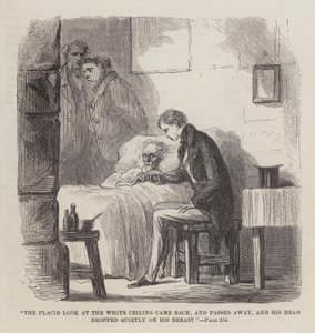 Illusztráció a nagy elvárásokhoz alkotó: John McLenan