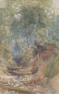 Egy patak Clovelly közelében, Észak-Devon, 1850.