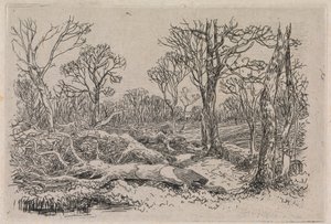 Kivágott fa, Burningham