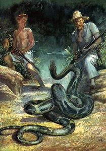 Svájci család Robinson alkotó: John Millar Watt