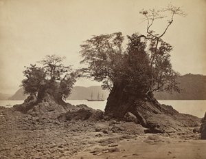Szigetek a Lemon Bay-ben, 1871. alkotó: John Moran