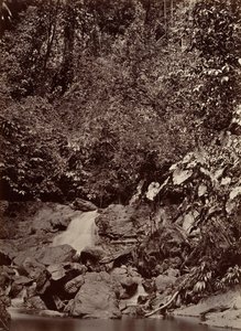 Trópusi táj, Cascade, Limon River, 1871.