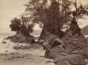 Trópusi táj, Limon Bay – apály, 1871.