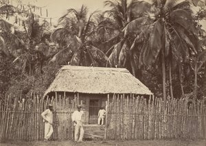 Trópusi táj, Native Hut, Turbo, 1871.
