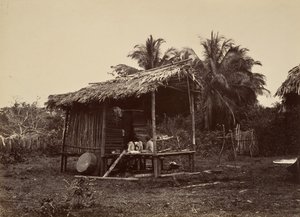 Trópusi táj, Native Hut, Turbo, 1871. alkotó: John Moran