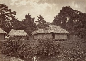 Trópusi táj, Turbo Village, 1871.