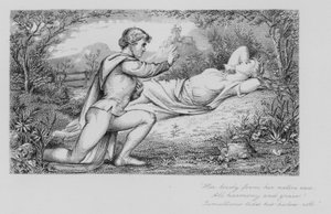 Robert Burns: Virágzó Nelly (metszet)