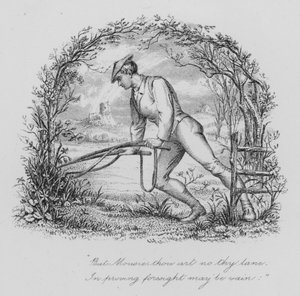 Robert Burns: Egy egérhez (metszet)