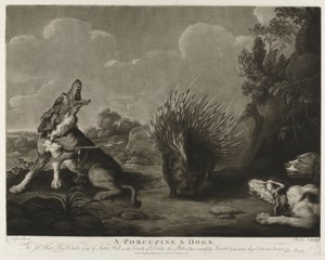 Disznó és három kutya Porcupine & Dogs (cím a tárgyon)