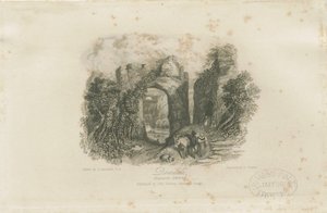 Dovedale – „Reynard